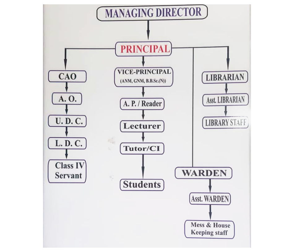 Oragnization Chart Chrt 1